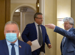 «Потерпевшие» или Слепоглухонемые: кто 2 марта выбирает мэра Воронежа