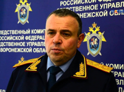 Главный воронежский следователь Левит обеднел в два раза