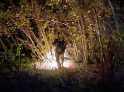 «Ребенок погиб от обезвоживания»: о поисках, которые основали воронежский отряд «ЛизаАлерт», рассказали волонтеры 