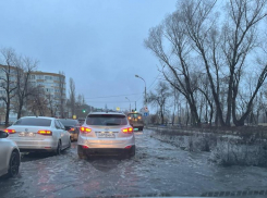 Мэр Петрин лично ответил за озеро на воронежской набережной 