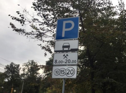 Адскую давку в автобусах Воронежа связали с платными парковками