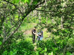 «Своим звонком спас жизнь»: волонтеры рассказали, как нашли пропавшего из воронежского пансионата дедушку