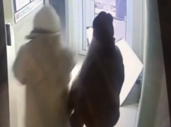 Отвратительный поступок подружек-громил попал на видео в Воронеже 