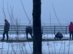 Укладку рулонного газона в снег объяснили в Воронеже 