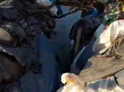 По самую крышу: в Воронеже обнаружили дом, заваленный мусором