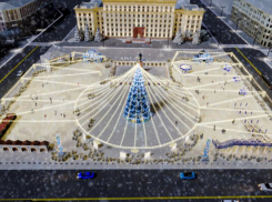 Цена новогодней ели в Новосибирске оказалась в 10 раз дешевле, чем в Воронеже