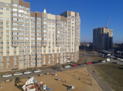 Синоптики разбили надежды на снег у жителей Воронежской области