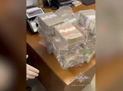 Директор воронежского отделения «Почты России» провернула аферу на 60 млн рублей