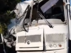 Столб не смог остановить маршрутчика в желании возить людей в Воронеже