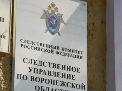 Жителю Воронежской области грозит 15 лет тюрьмы за жестокое избиение 73-летней матери