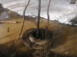 «Похищена крышка люка»: РВК прокомментировал затопление Северного леса фекалиями в Воронеже 