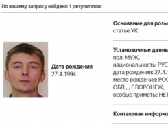 Кто дал сбежать за границу пьяному виновнику смертельного ДТП, выяснят следователи в Воронеже