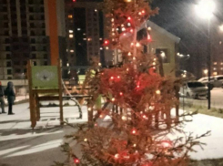 Очень грустную елочку заметили в предновогоднем Воронеже