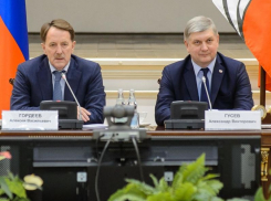 Гусев или Гордеев: кто из них авторитетнее для воронежцев, выяснили социологи