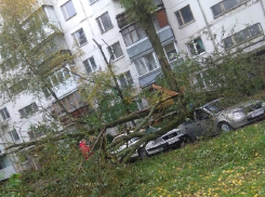 Что оставила после себя бушевавшая стихия в Воронеже 