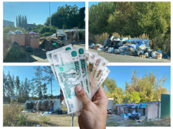 15 млн рублей на мусорку: воронежские чиновники пытаются доказать существование людей со сверхспособностями