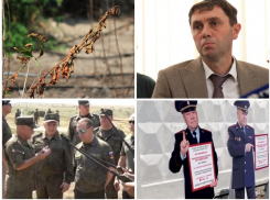 Главное в Воронеже: повышение тарифа, визит Медведева и первый кандидат в мэры