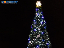 Воронежцы назвали самый новогодний фильм 2022 года