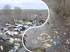 Адский хламовник в Острогожском районе показали на фото 