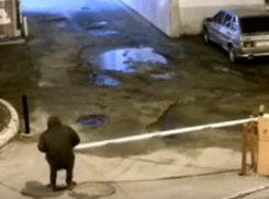 Неизвестный сломал шлагбаум и попал на видео в Воронеже 