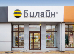 Билайн в Воронежской области запустил новую социальную скидку на связь