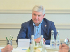 Александр Гусев предупредил воронежцев о подлетающих к региону БПЛА