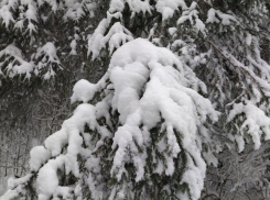 Больше снега богу снега, или Что ждет воронежцев во второй половине недели 