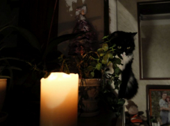 Массовые отключения электричества произойдут в 10 районах Воронежской области