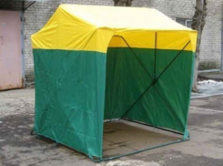 В Воронеже прошел рейд по несанкционированным точкам торговли