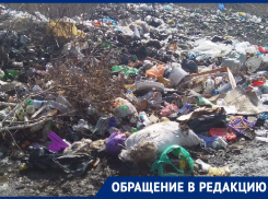 Место героической обороны и кровопролитных боев превратили в отвратительную свалку в Воронежской области