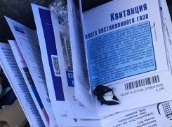 Стопку квитанций об оплате «коммуналки» обнаружили в помойке в Воронеже