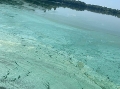 Омерзительная зеленая жижа испортила воронежцам планы на отдых