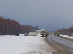 Полицейские вытянули фуру из кювета в Воронежской области