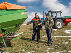 Воронежские власти направили миллиардную помощь из Москвы частникам