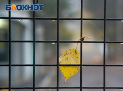 Какая погода ждет воронежцев в начале недели, рассказали синоптики