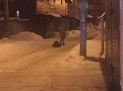 В Воронеже сфотографировали выгуливающего телевизор парня