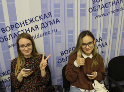 Риски «льва Гусева» перед выборами оценили в Воронеже