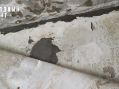 Обещанного 20 лет ждать: воронежскую пятиэтажку обещают привести в порядок к 2044 году