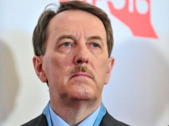 Воронежский экс-губернатор Гордеев призвал бойкотировать проект бюджета