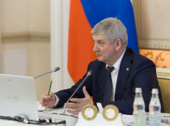 Губернатор Гусев заявил о нерациональном использовании земли в Воронеже