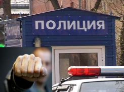 В Воронеже 19-летний узбек дал мужчине в глаз и украл сумку