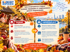 Похороны мух: чем отличаются старые осенние традиции от современного досуга воронежцев