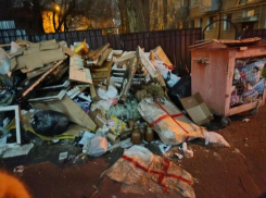 Улицу в честь воронежского героя превратили в свалку