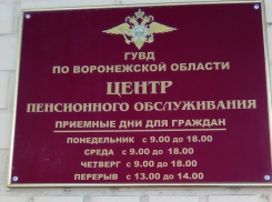 Как элитная школа №1 в Воронеже взвыла волком от соседней полицейской структуры