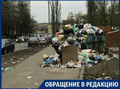 Мусорный контейнер потеснил пешеходов на тротуаре в Воронеже