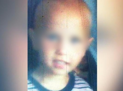 Семь суток в поле под Воронежем: как погиб трехлетний Артём и почему на поисках было так мало людей