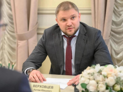 Зампреду правительства Воронежской области Артему Верховцеву исполнилось 45 лет