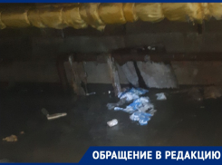 Корни деревьев спровоцировали фекальное наводнение на воронежских Ваях
