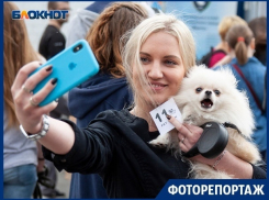 Уникальная душевая для четвероногих друзей  приняла первых клиентов в Воронеже