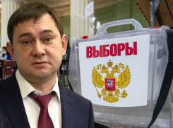 Багаж скандалов и интриг: воронежская «Единая Россия» подошла к праймериз-2025 в своей худшей форме